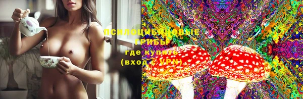 бутират Горнозаводск