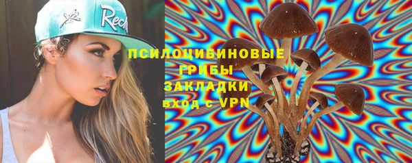 бутират Горнозаводск