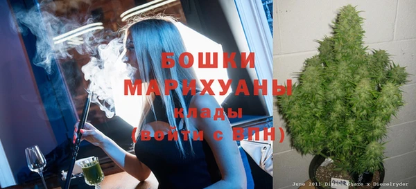 спиды Горно-Алтайск