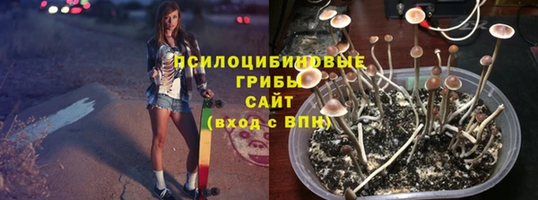 бутират Горнозаводск