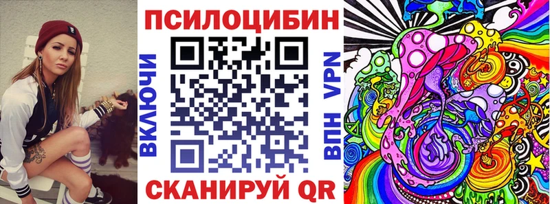 Галлюциногенные грибы Psilocybe  Купить закладки  Козловка 